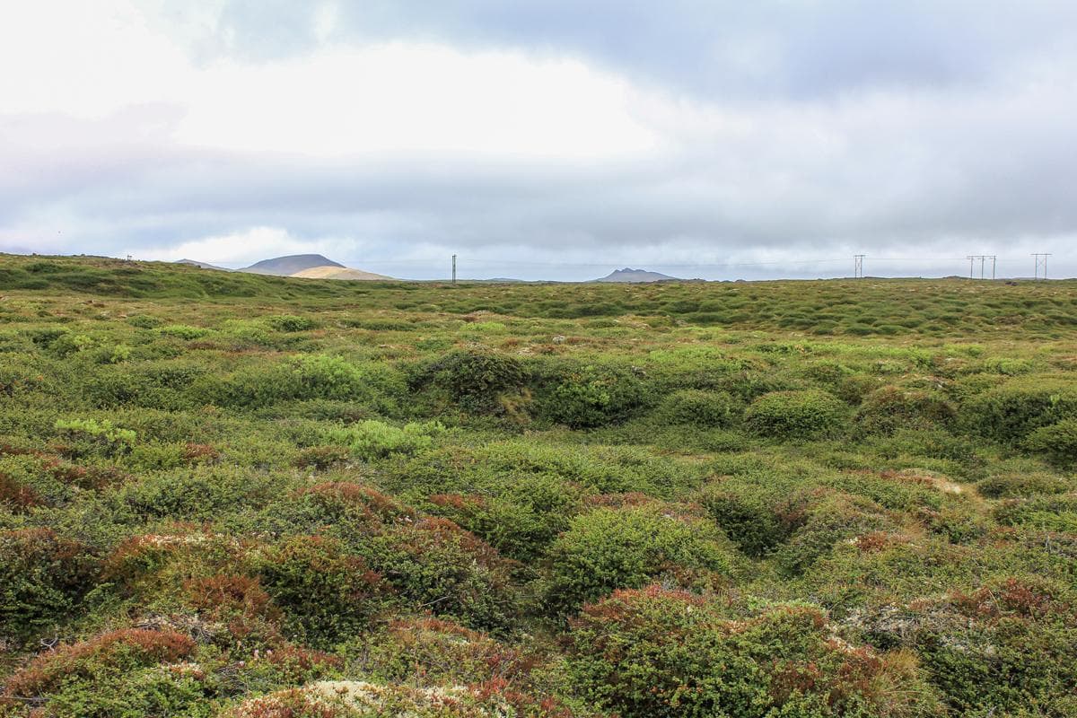 Mólendi image